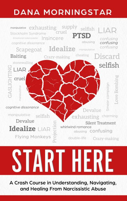 Cover of the book Start Here by Dana Morningstar, Morningstar Media