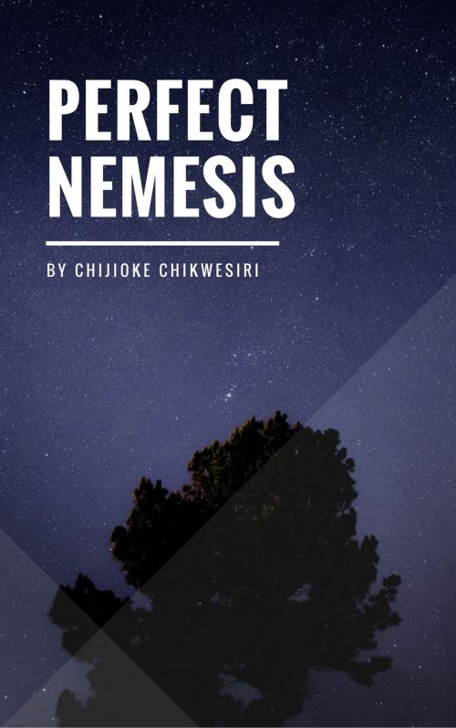 Cover of the book Perfect Nemesis by Chijioke Chikwesiri, Publiseer Publishing