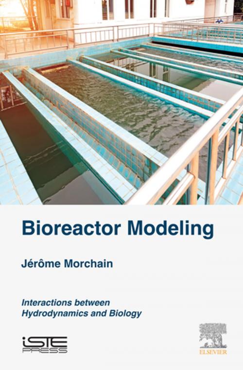 Cover of the book Bioreactor Modeling by Jerome Morchain, Elsevier Science