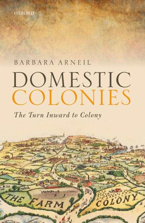 Cover of the book Domestic Colonies by Barbara Arneil, OUP Oxford