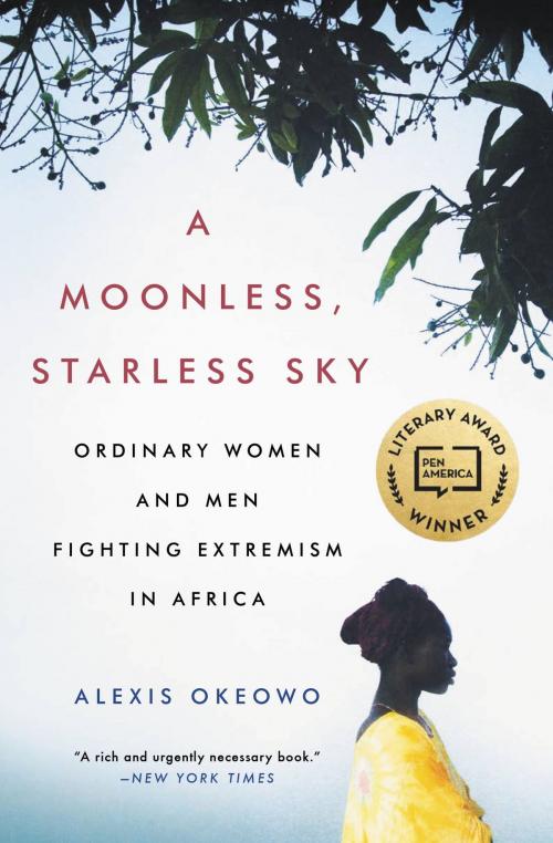 Cover of the book A Moonless, Starless Sky by Alexis Okeowo, Hachette Books