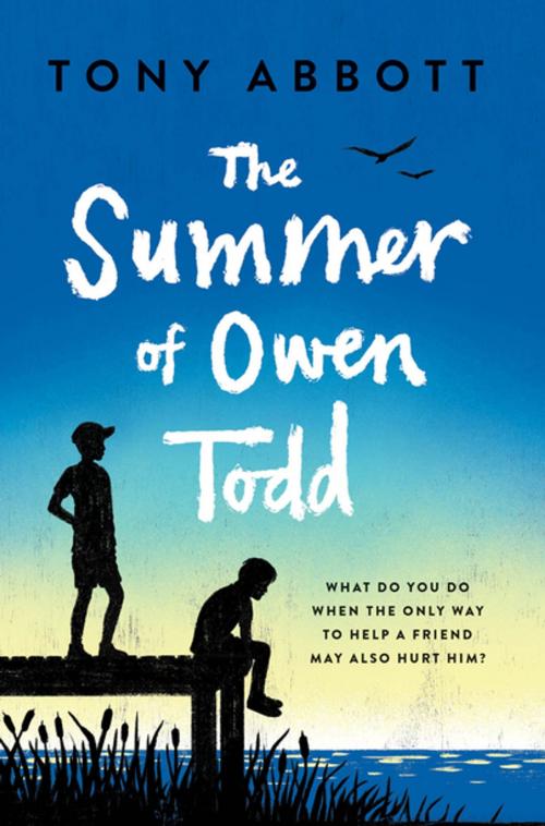 Cover of the book The Summer of Owen Todd by Tony Abbott, Farrar, Straus and Giroux (BYR)