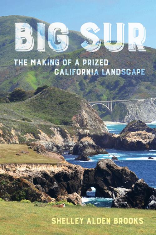 Cover of the book Big Sur by Shelley Alden Brooks, University of California Press