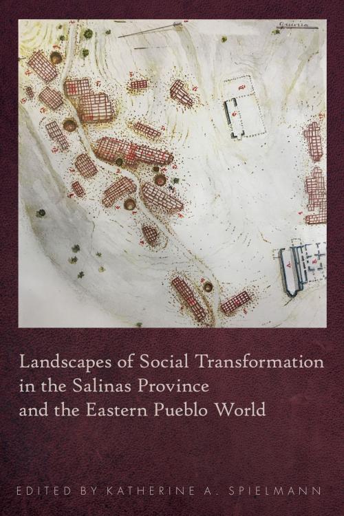 Cover of the book Landscapes of Social Transformation in the Salinas Province and the Eastern Pueblo World by , University of Arizona Press