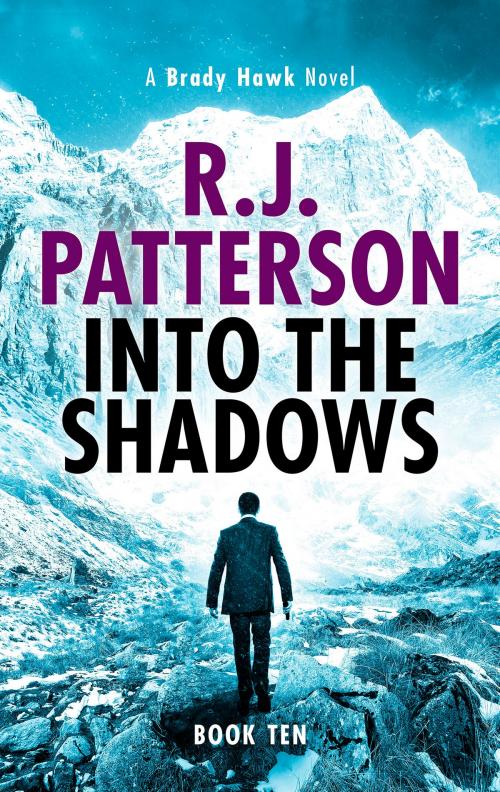 Cover of the book Into the Shadows by R.J. Patterson, Green E-Books