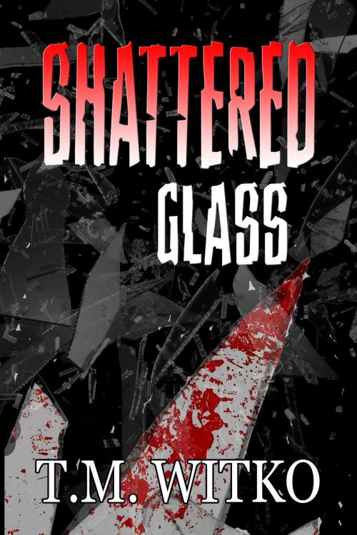 Cover of the book Shattered Glass by Tawa Witko, Winyan Press, LLC