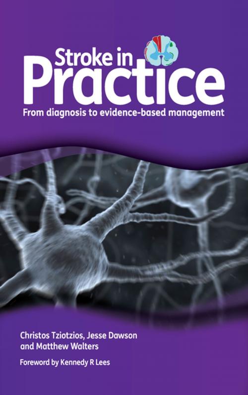 Cover of the book Stroke in Practice by Christos Tziotzios, Jesse Dawson, Matthew Walters, CRC Press