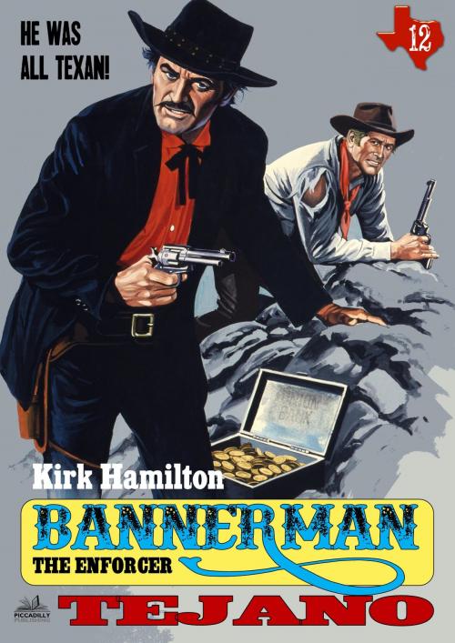 Cover of the book Bannerman The Enforcer 12: Tejano by Kirk Hamilton, Piccadilly Publishing