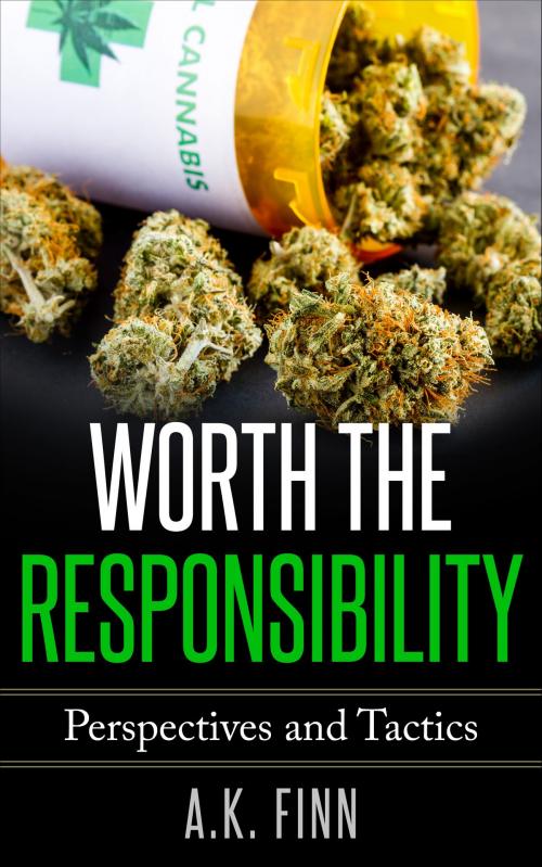 Cover of the book Worth the Responsibility (Perspectives and Tactics) by A.K. Finn, A.K. Finn