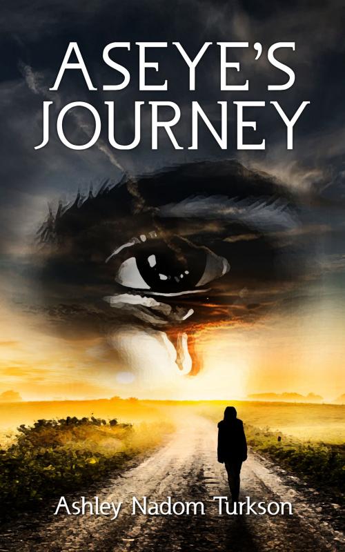 Cover of the book Aseye's Journey by Ashley Nadom Turkson, DAkpabli & Associates