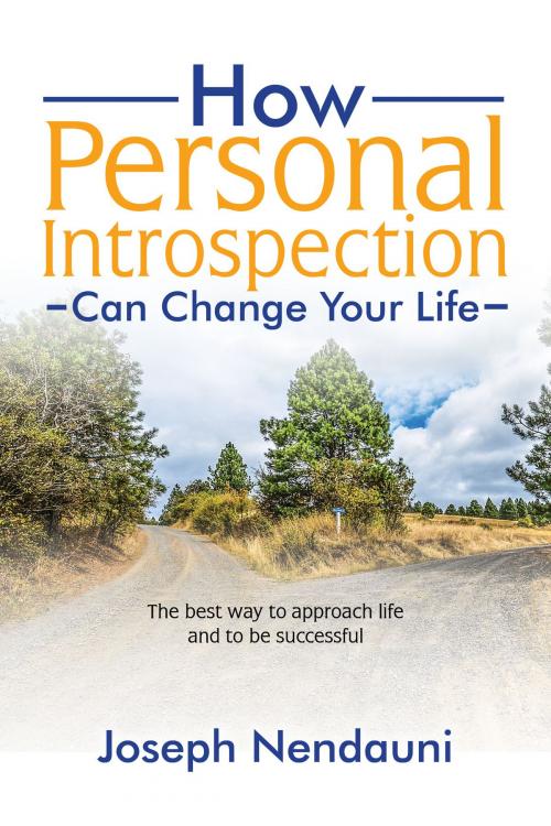Cover of the book How Personal Introspection Can Change Your Life by Joseph Nendauni, Joseph Nendauni