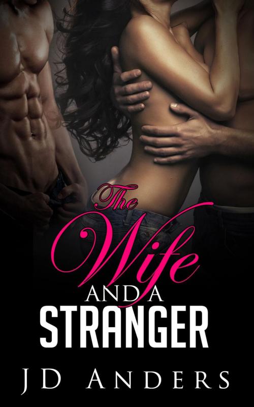 Cover of the book The Wife and a Stranger by JD Anders, JD Anders