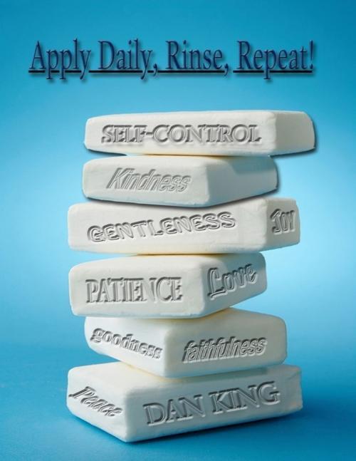Cover of the book Apply Daily, Rinse, Repeat! by Dan King, Lulu.com