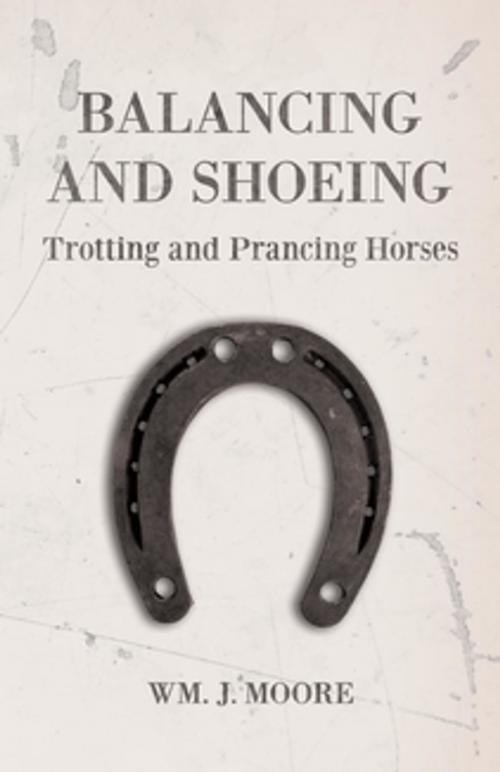 Cover of the book Balancing and Shoeing Trotting and Prancing Horses by WM. J. Moore, Read Books Ltd.