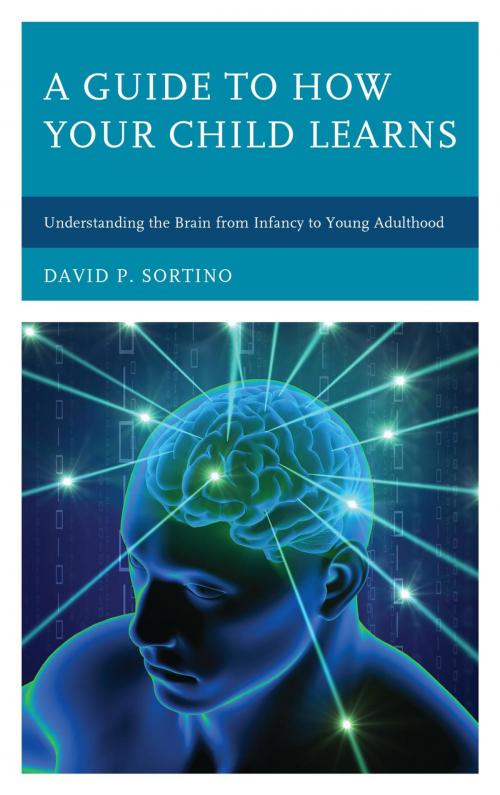 Cover of the book A Guide to How Your Child Learns by David P. Sortino, Rowman & Littlefield Publishers