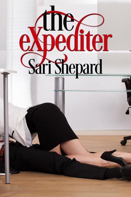 Cover of the book The Expediter by Sari Shepard, eXtasy Books Inc