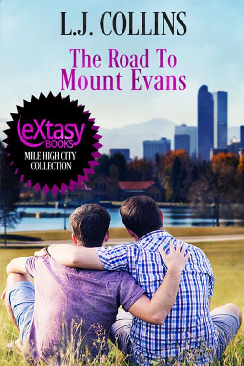 Cover of the book The Road To Mount Evans by L.J. Collins, eXtasy Books Inc