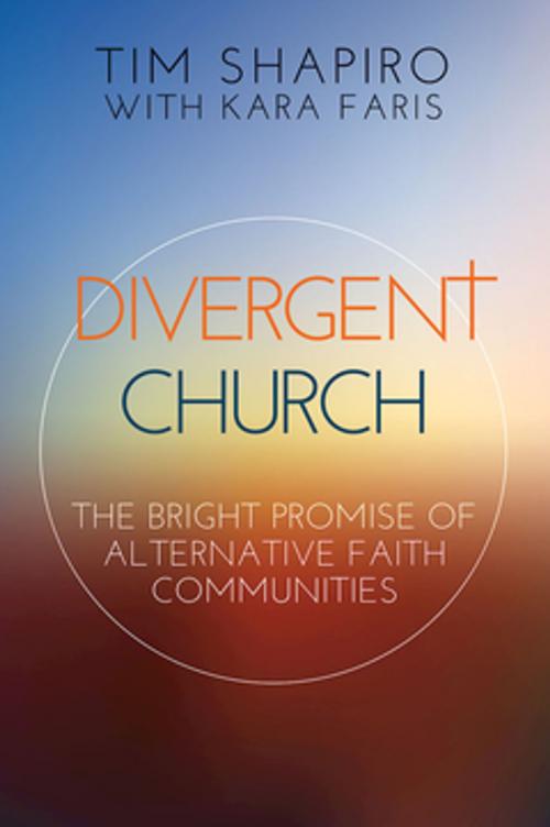 Cover of the book Divergent Church by Tim Shapiro, Kara Faris, Abingdon Press