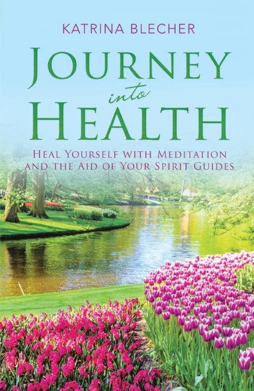 Cover of the book Journey into Health by Katrina Blecher, Balboa Press