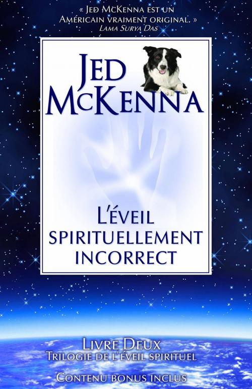 Cover of the book L'éveil spirituellement incorrect by Jed McKenna, Wisefool Press