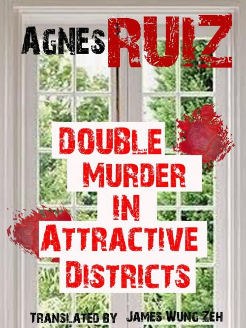 Cover of the book Double Murder in Attractive Districts by Agnès Ruiz, Babelcube Inc.