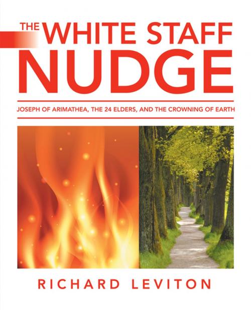 Cover of the book The White Staff Nudge by Richard Leviton, iUniverse