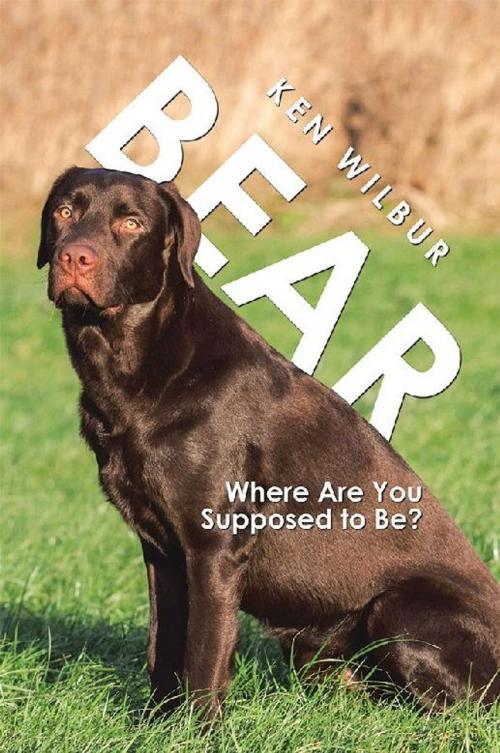 Cover of the book Bear by Ken Wilbur, AuthorHouse