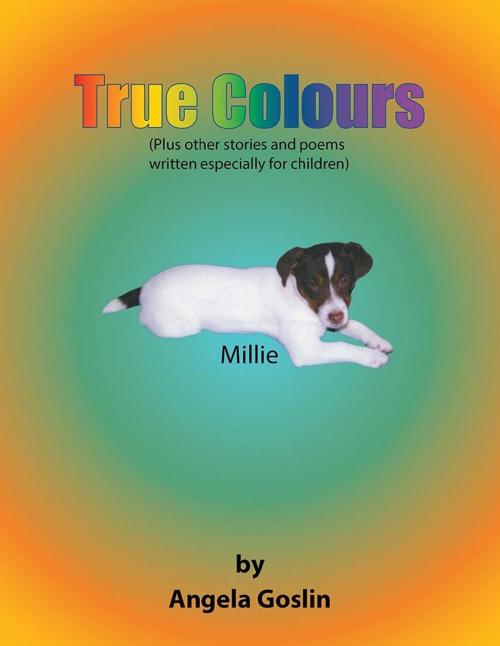 Cover of the book True Colours by Angela Goslin, AuthorHouse UK