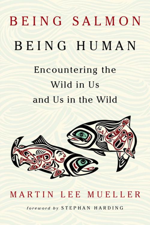 Cover of the book Being Salmon, Being Human by Martin Lee Mueller, Chelsea Green Publishing