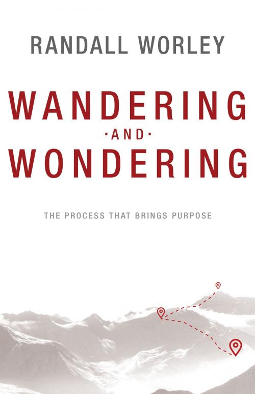 Cover of the book Wandering and Wondering by Randall Worley, Whitaker House