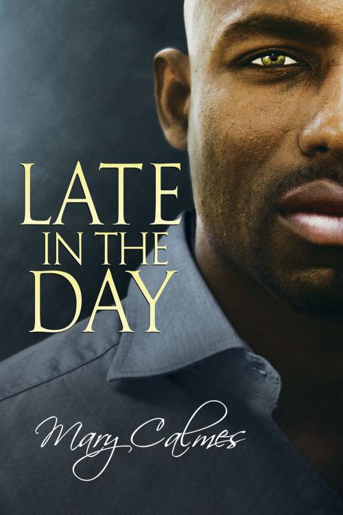 Cover of the book Late in the Day by Mary Calmes, Dreamspinner Press