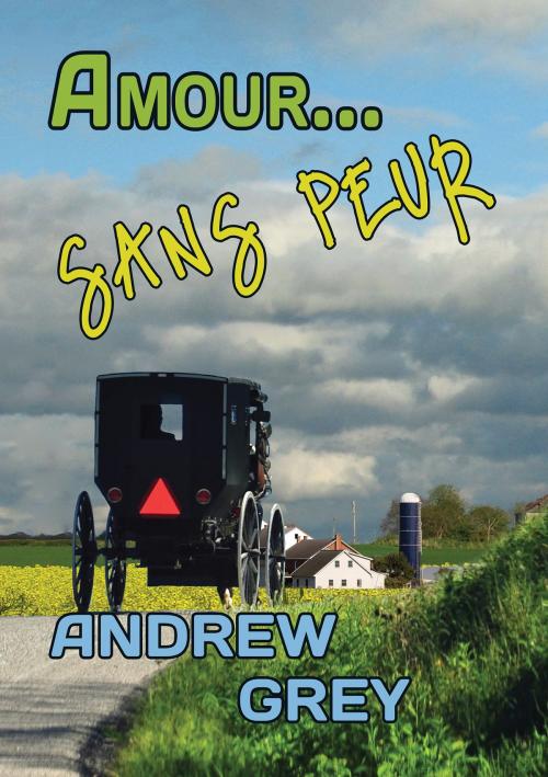 Cover of the book Amour... sans peur by Andrew Grey, Dreamspinner Press