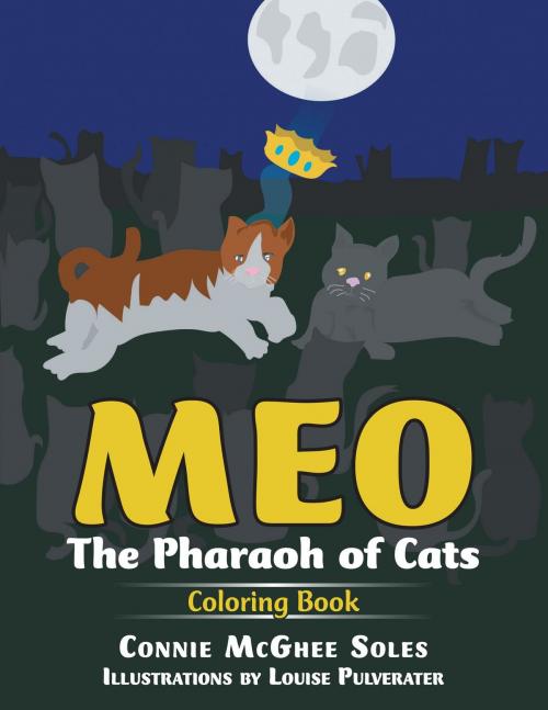 Cover of the book Meo by Connie McGhee Soles, AuthorCentrix, Inc.