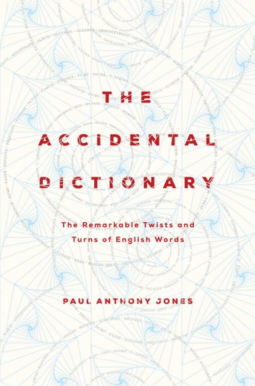 Cover of the book The Accidental Dictionary: The Remarkable Twists and Turns of English Words by Paul Anthony Jones, Pegasus Books