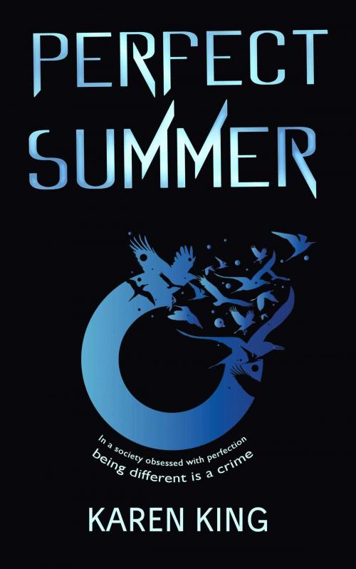 Cover of the book Perfect Summer by Karen King, Accent Press