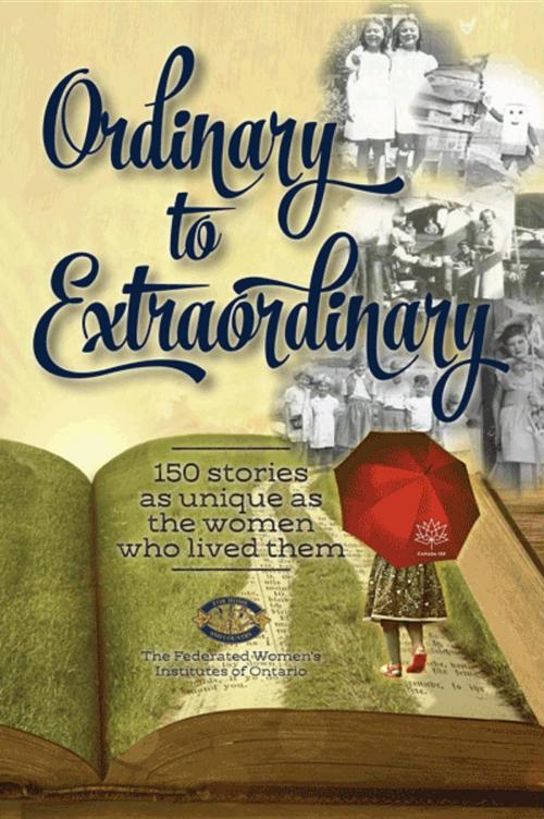 Cover of the book Ordinary to Extraordinary by , Burnstown Publishing House