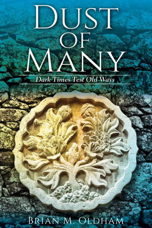 Cover of the book Dust of Many by Brian M. Oldham, Tellwell Talent