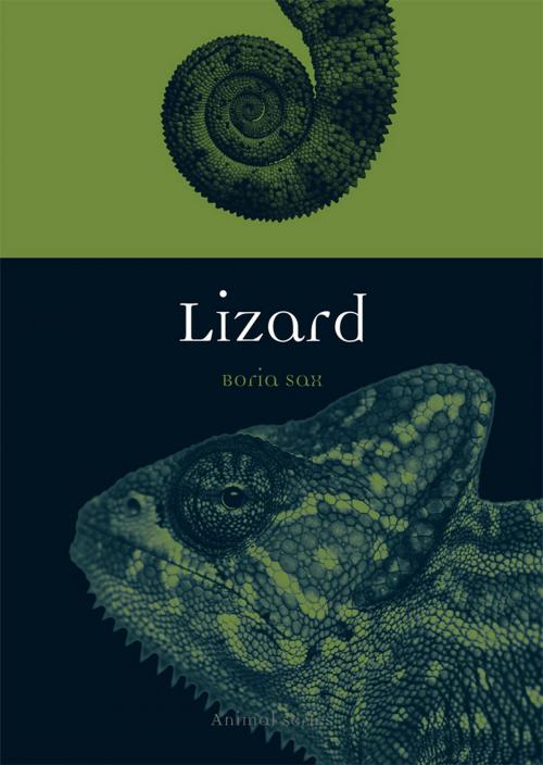 Cover of the book Lizard by Boria Sax, Reaktion Books