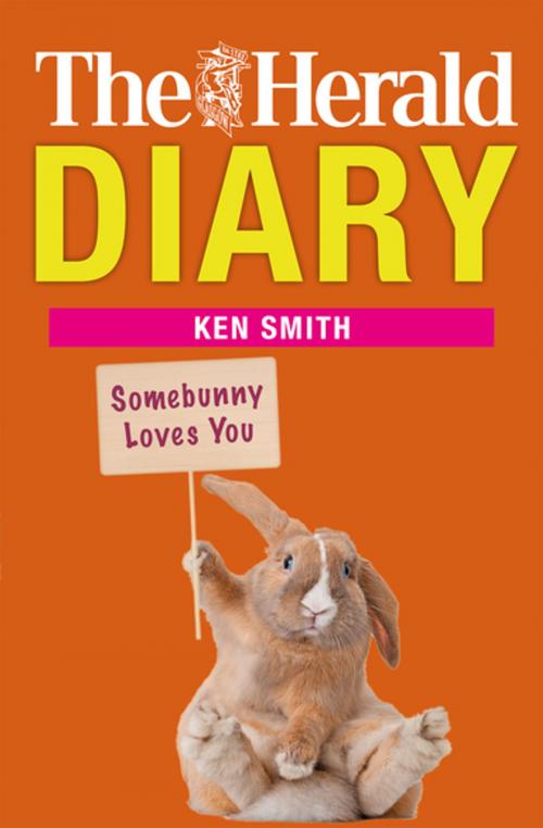 Cover of the book The Herald Diary by Ken Smith, Black & White Publishing