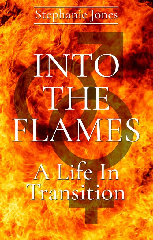 Cover of the book Into The Flames by Stephanie Jones, Troubador Publishing Ltd