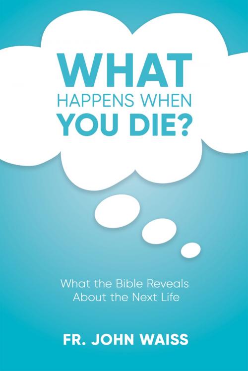 Cover of the book What Happens When You Die? by Fr. John Waiss, Wellspring