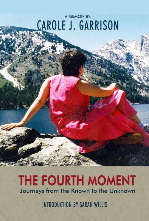 Cover of the book The Fourth Moment by Carole J. Garrison, 2Leaf Press