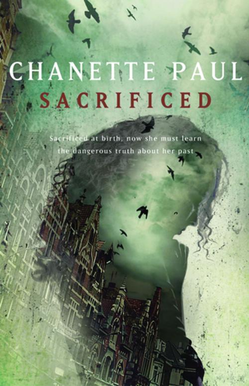 Cover of the book Sacrificed by Chanette Paul, Catalyst Press