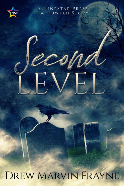 Cover of the book Second Level by Drew Marvin Frayne, Nine Star Press