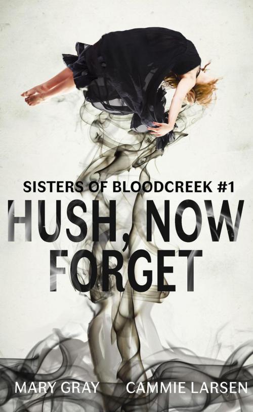 Cover of the book Hush, Now Forget by Mary Gray, Cammie Larsen, Monster Ivy Publishing