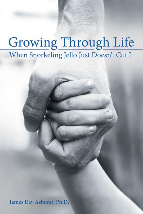 Cover of the book Growing Through Life by James Ray Ashurst Ph.D., WestBow Press