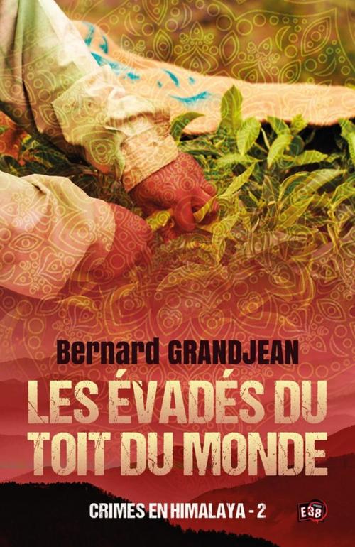 Cover of the book Les évadés du toit du monde by Bernard Grandjean, Les éditions du 38