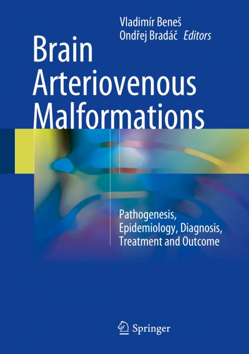 Cover of the book Brain Arteriovenous Malformations by , Springer International Publishing