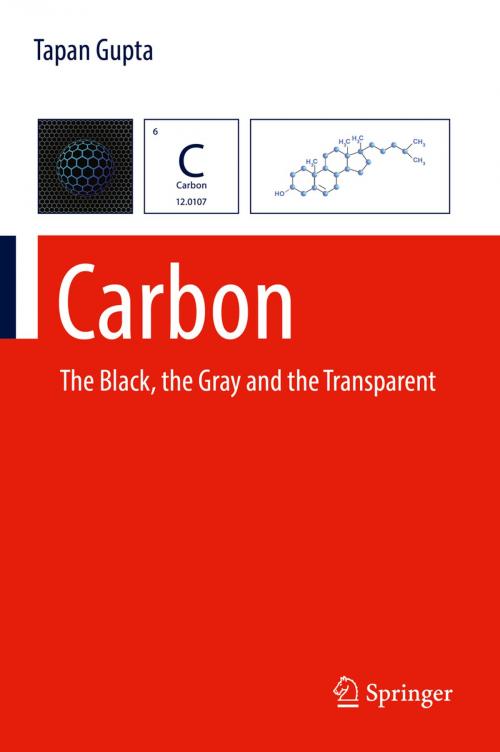 Cover of the book Carbon by Tapan Gupta, Springer International Publishing