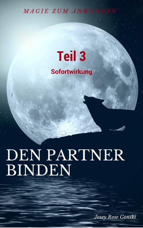 Cover of the book Magie zum Anwenden Teil 3 by Josey Rose Gonski, epubli